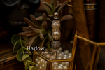 Load image into Gallery viewer, Hollywood Starlets Collection
