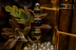 Load image into Gallery viewer, Hollywood Starlets Collection
